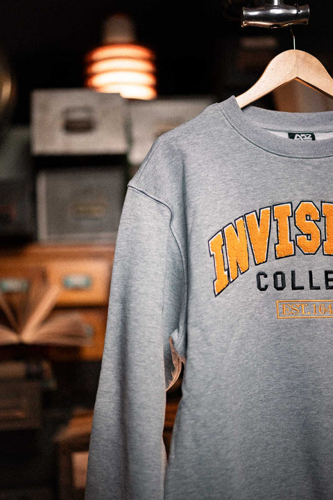 Invisible College Crewneck In Grey
