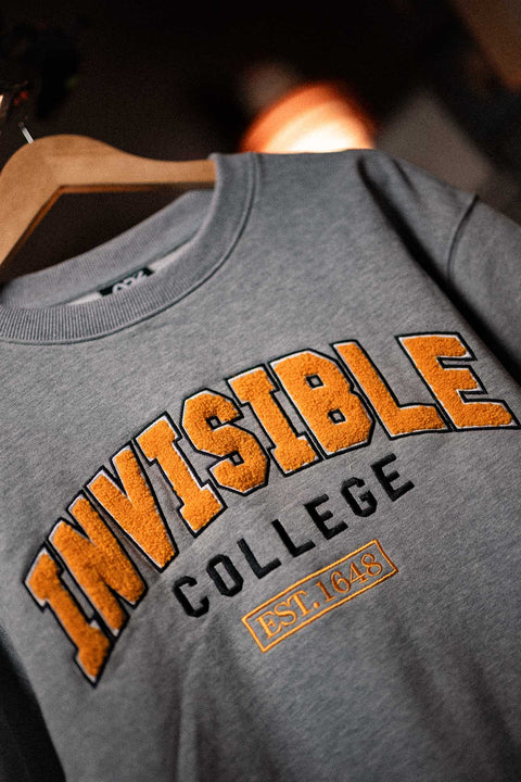 Invisible College Crewneck In Grey