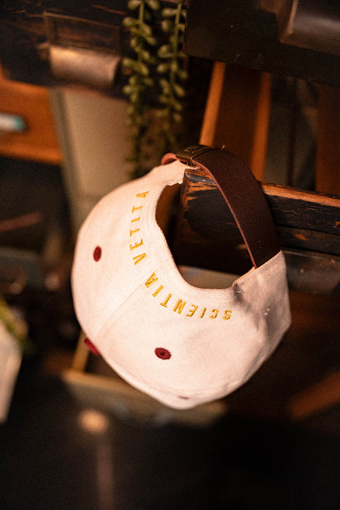 Invisible College Dad Hat