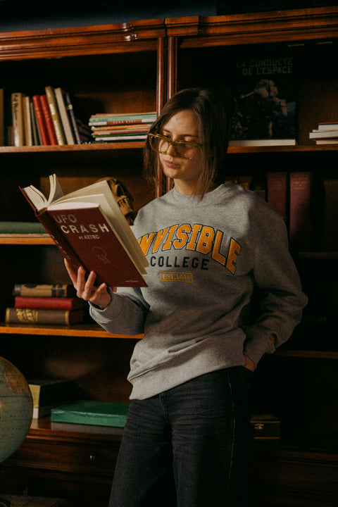 Invisible College Crewneck In Grey