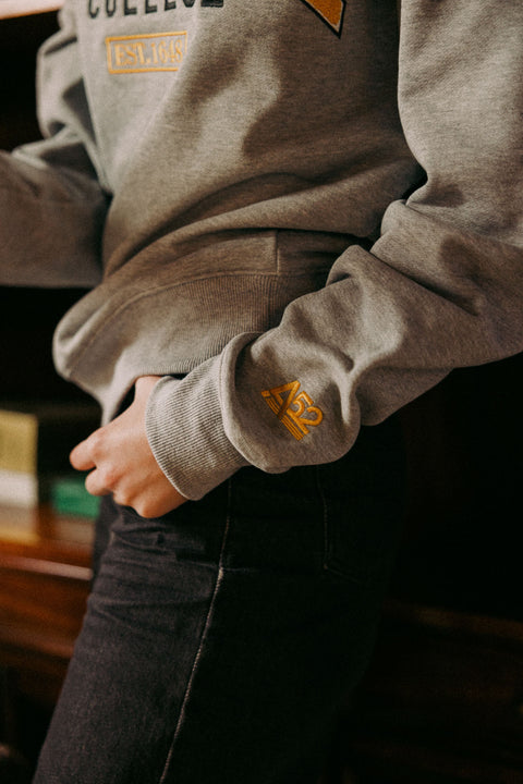 Invisible College Crewneck In Grey