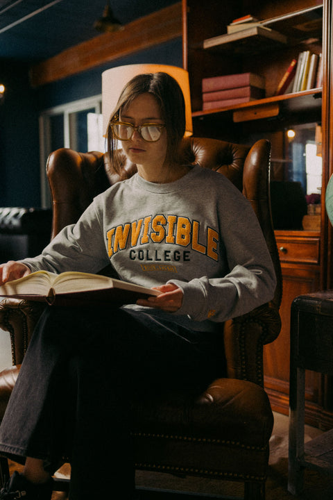 Invisible College Crewneck In Grey
